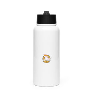 Stainless steel water bottle with a straw lid